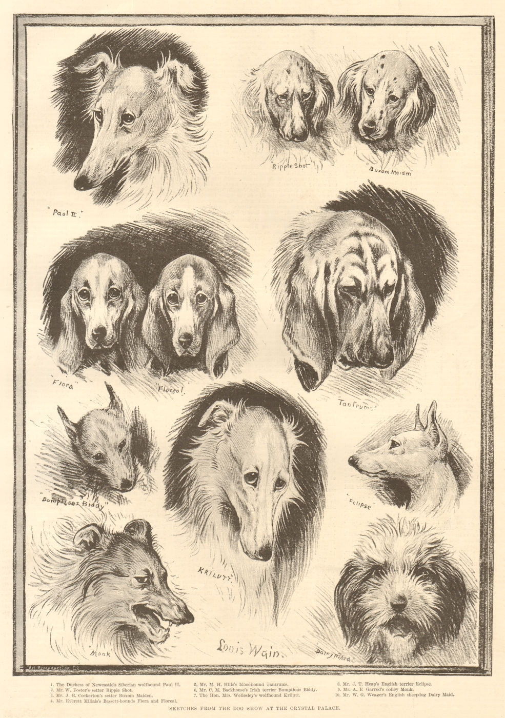 Sketches from the dog show at the Crystal Palace. London 1890 old print